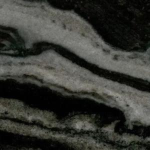 Bhainslana Black Marble detail