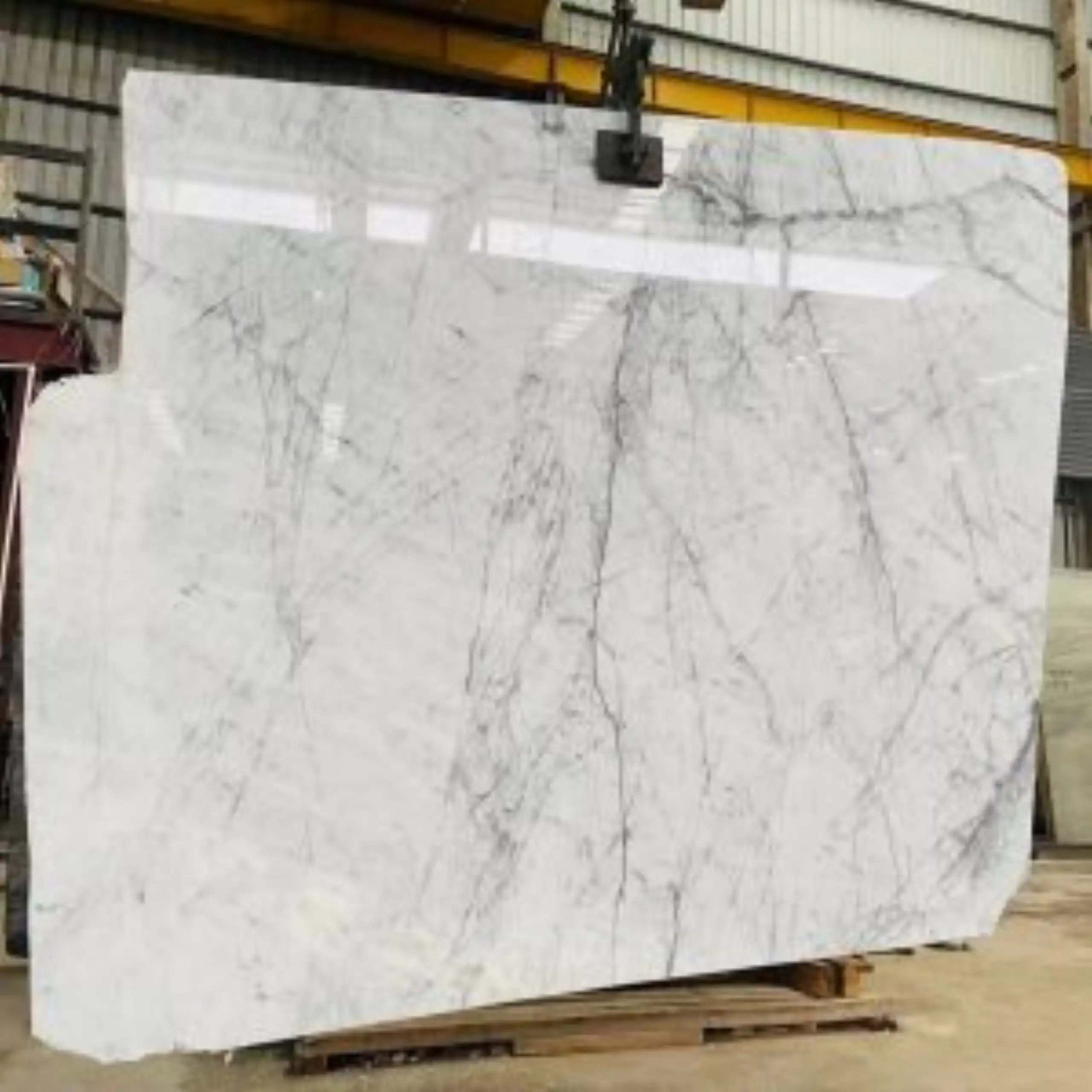 Bianco Gioia Marble slab1