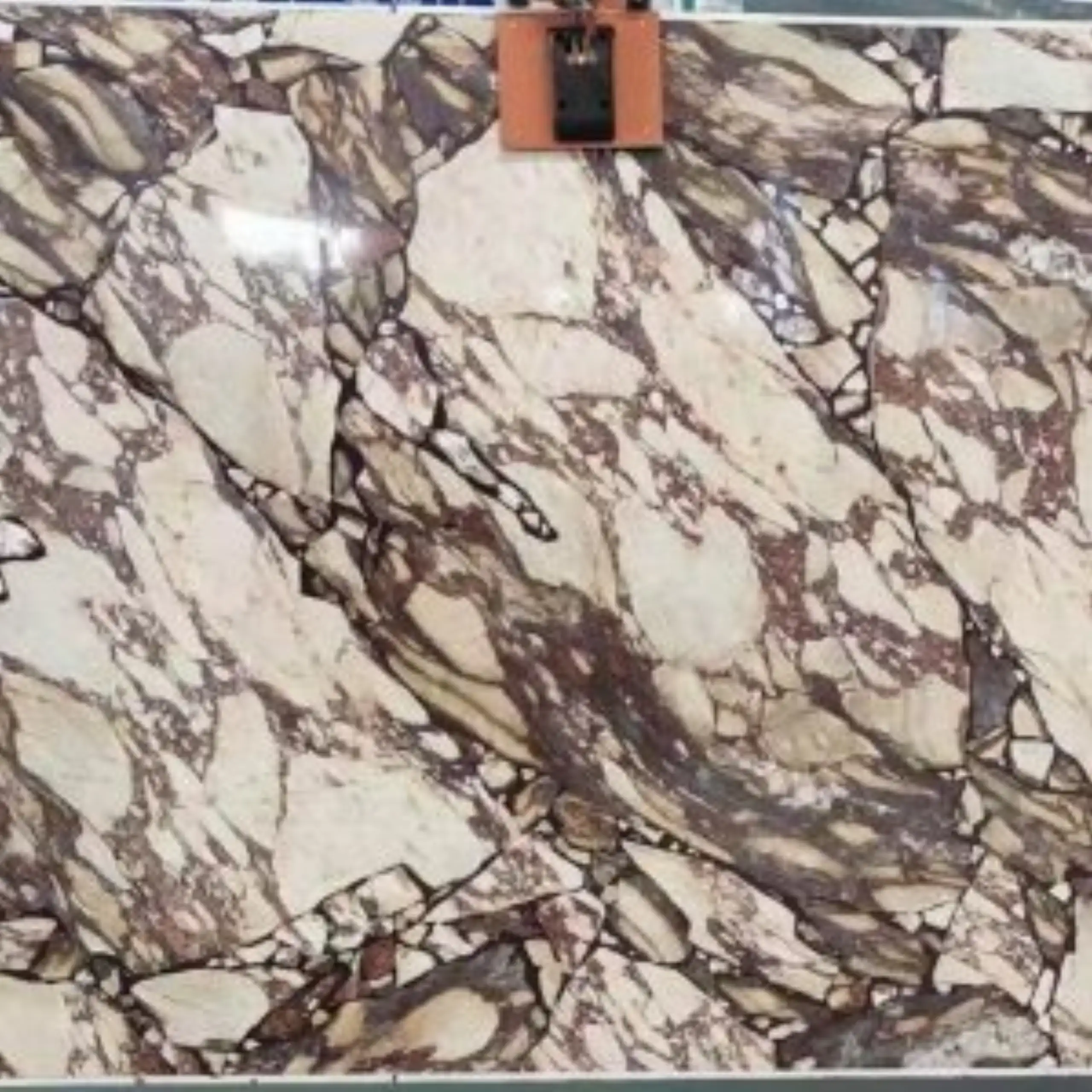 Breccia Medicea Marble Slab2