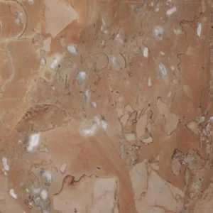 Noisette Fleury Marble detail