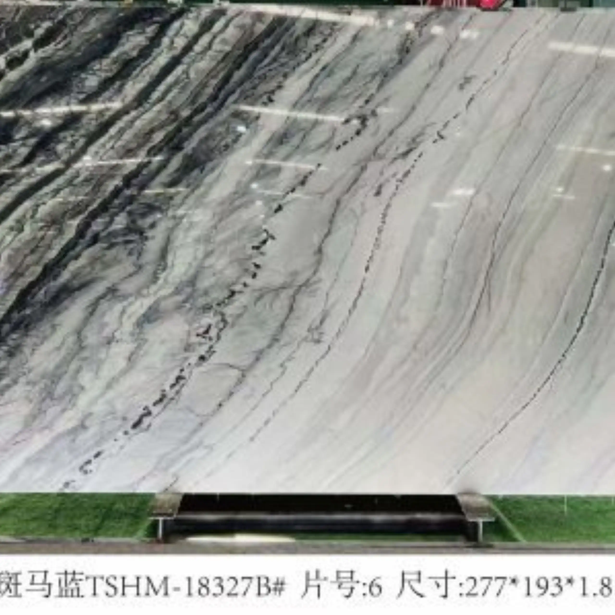 zebra blue marble slab 1