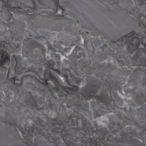 Fossil Grey Marble images