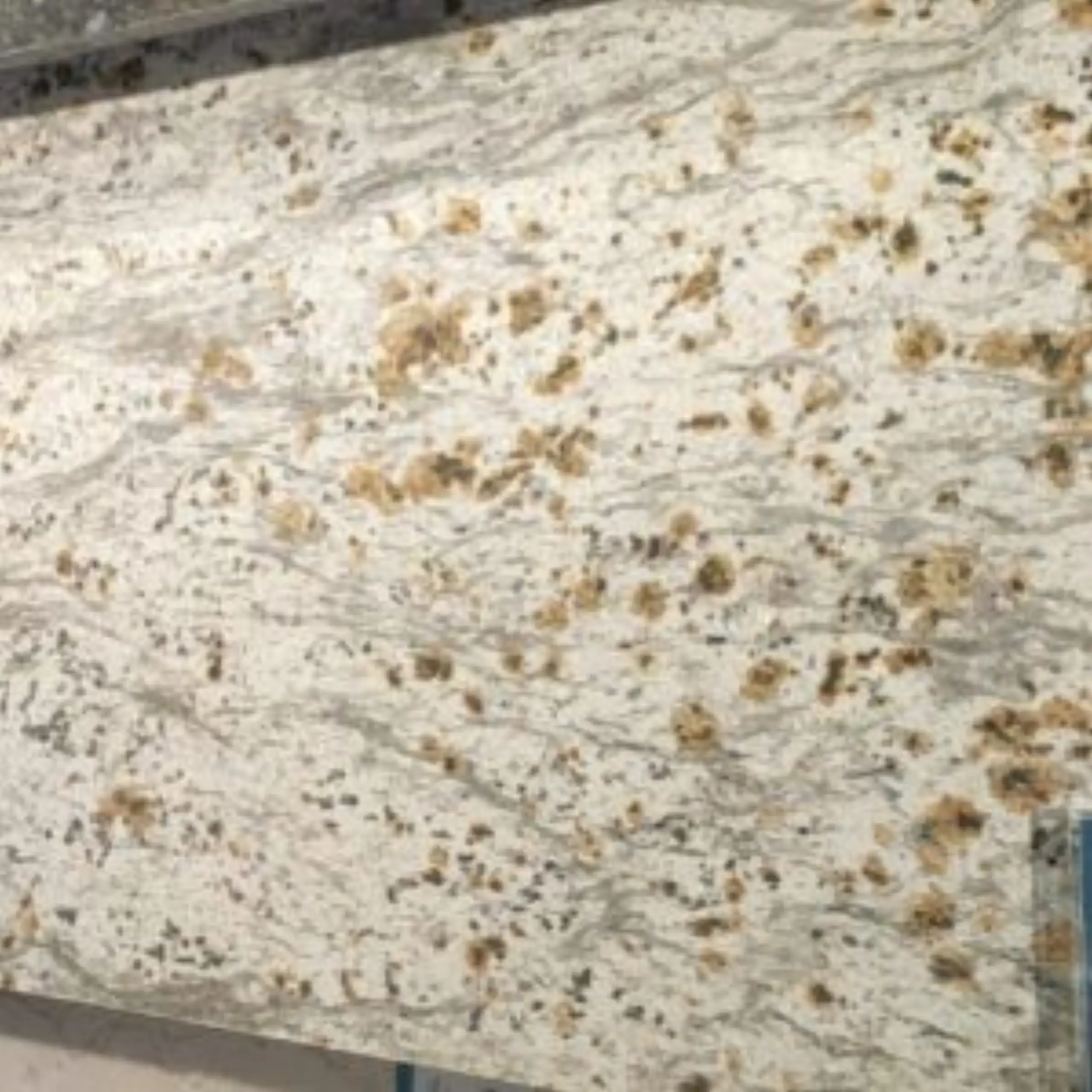 Colonial Cream Granite Slab2
