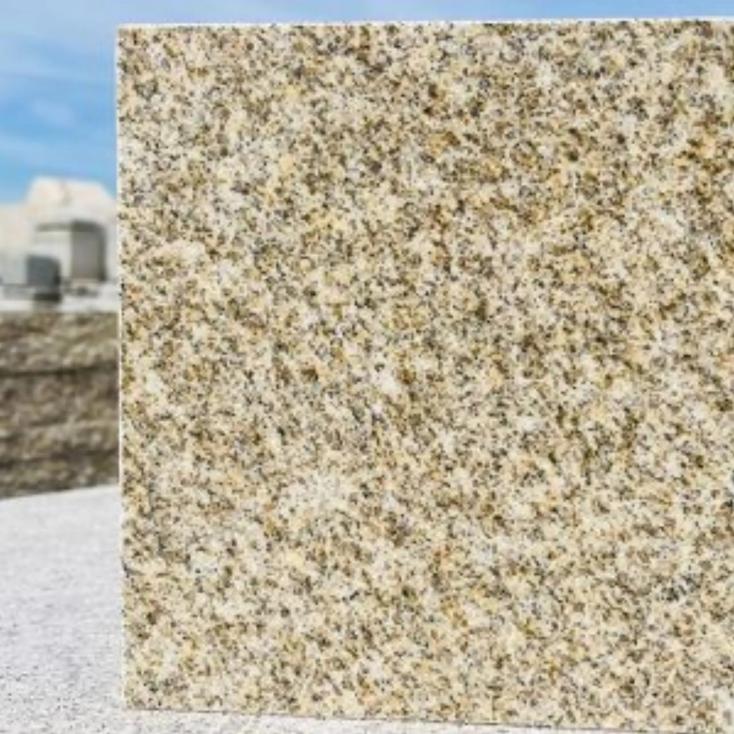 Giallo Ornamental Granite slab2