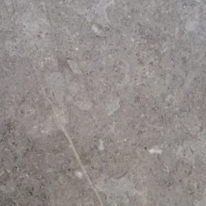 Fossil Grey Limestone