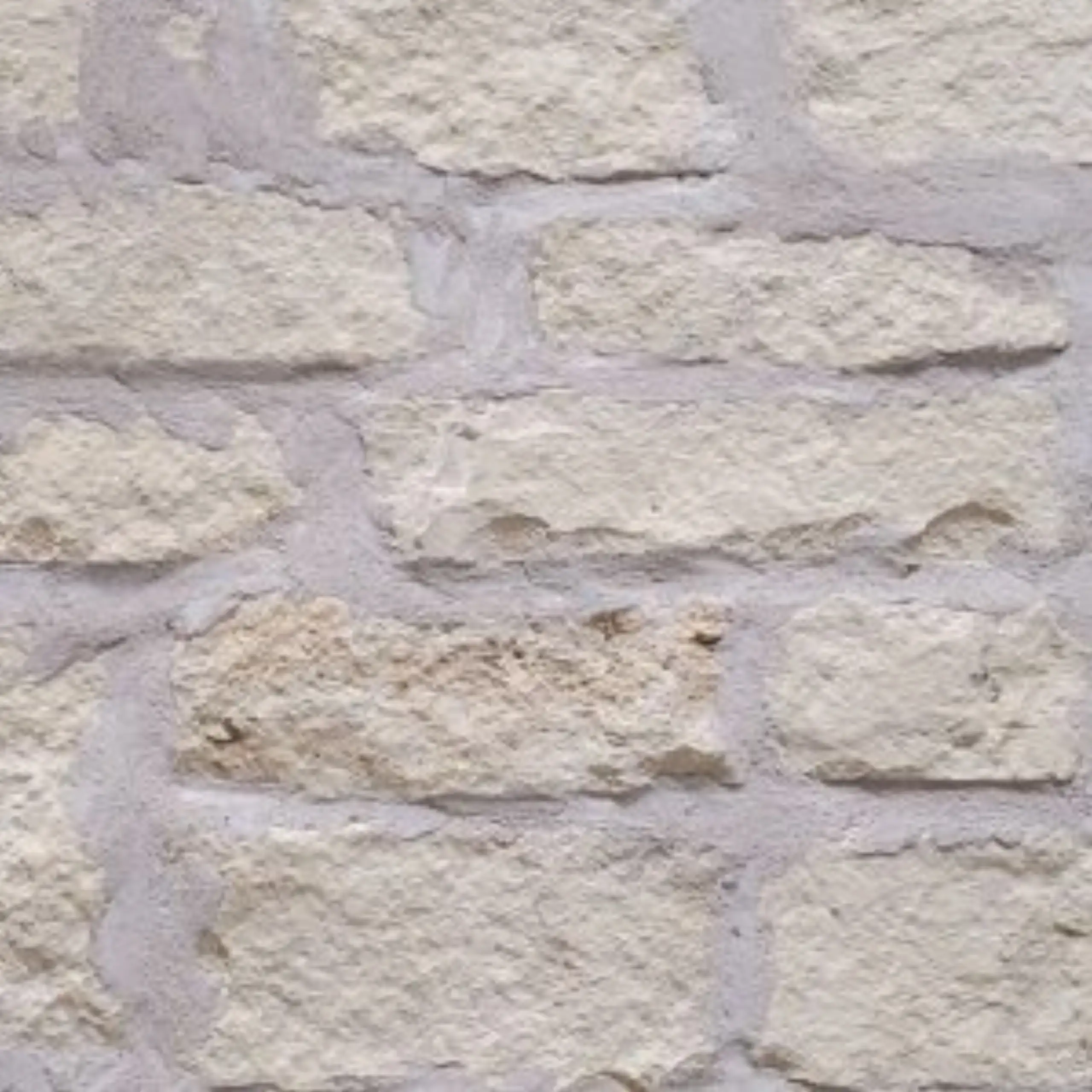 Cordova Cream