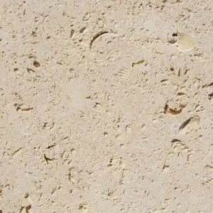 Cordova Shell Limestone