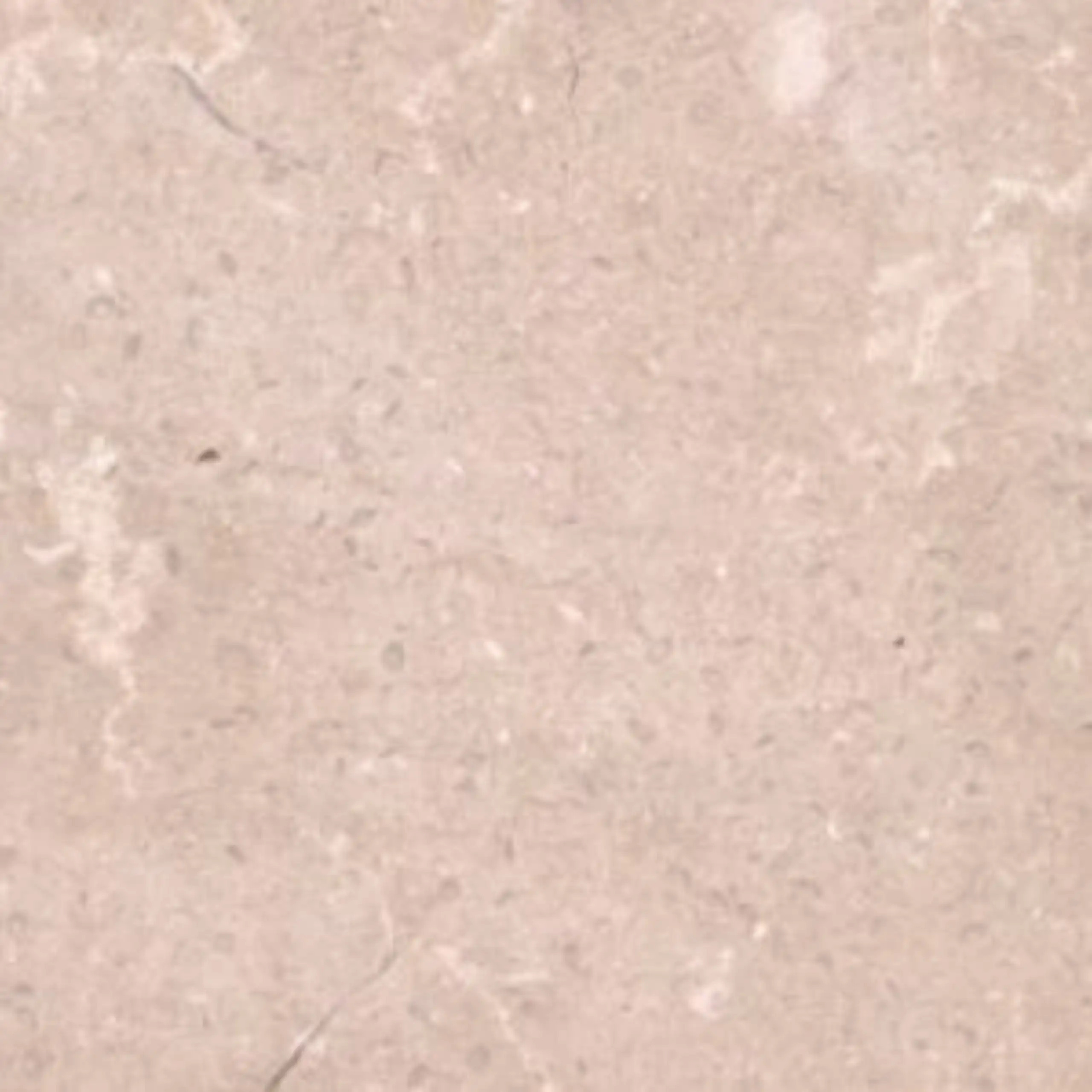Desert Beige Limestone