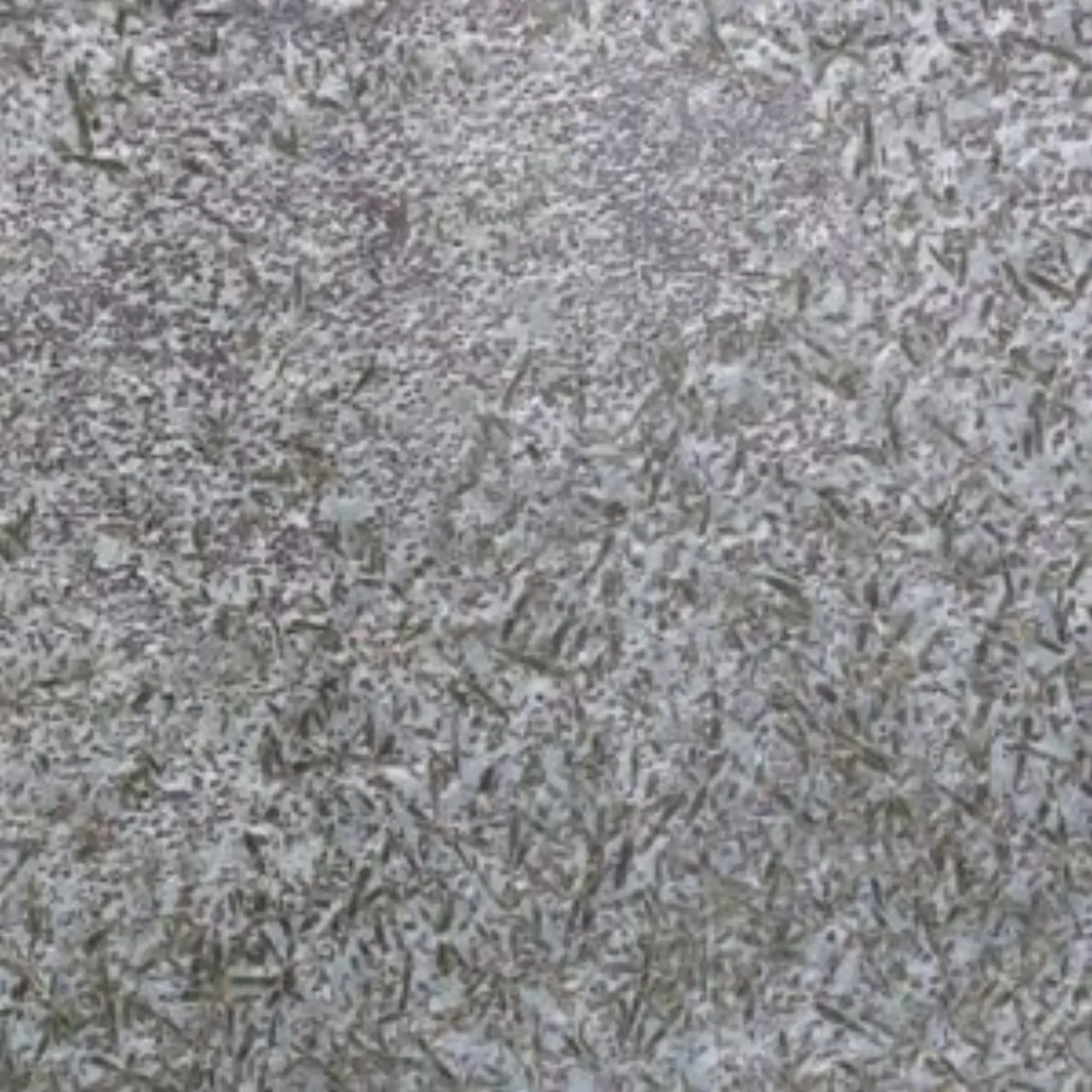 Matrix Granite