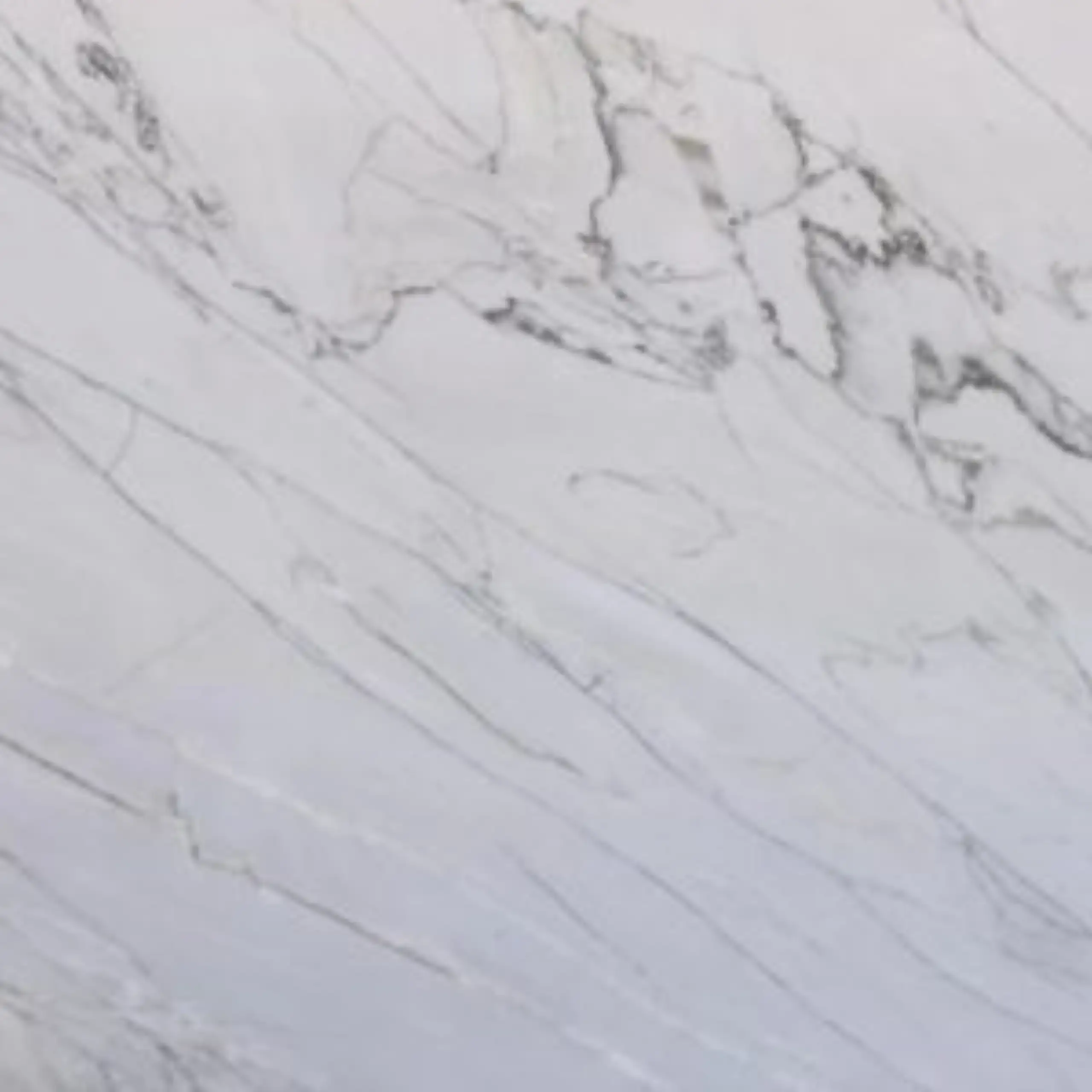 Polaris White Quartzite