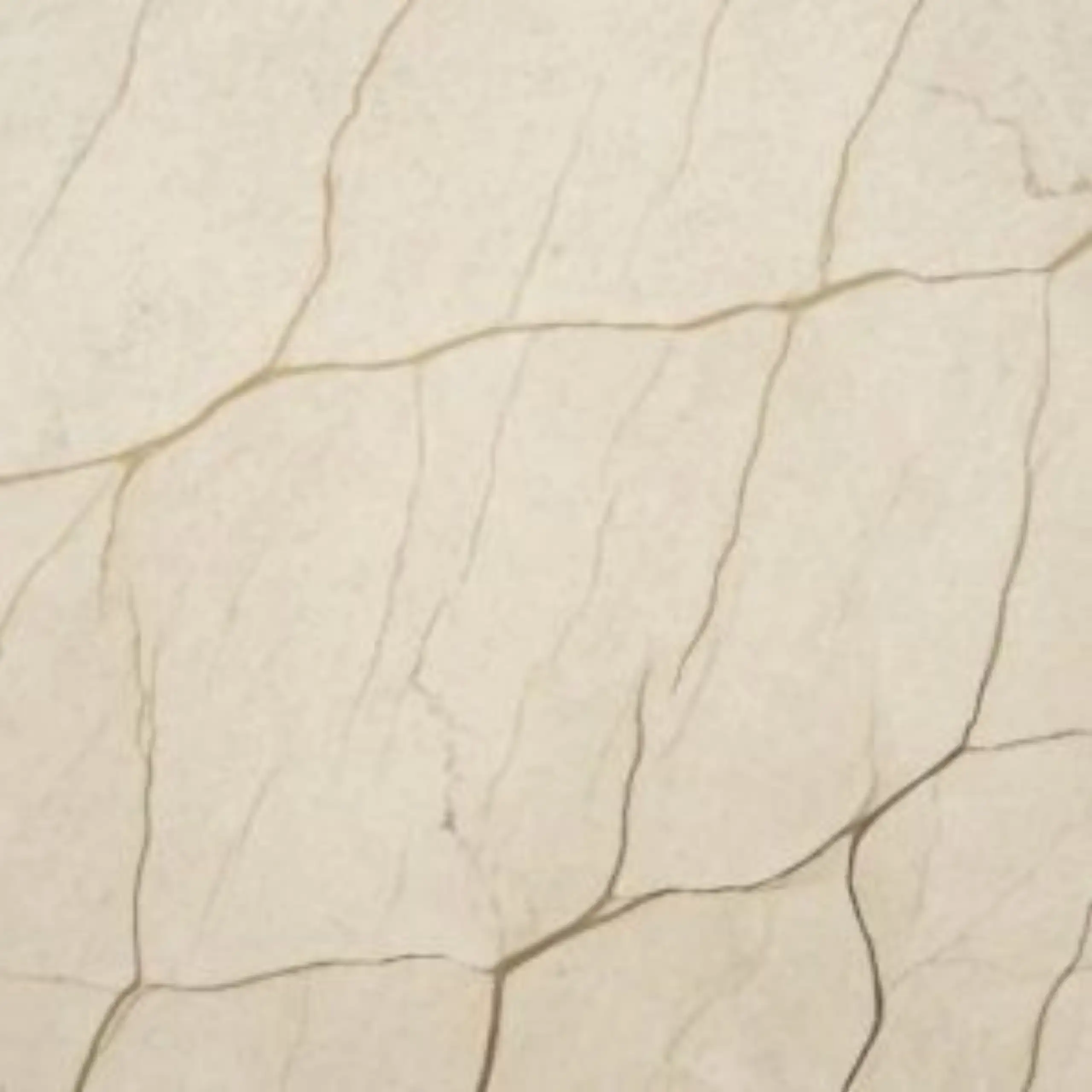 Zecevo Limestone