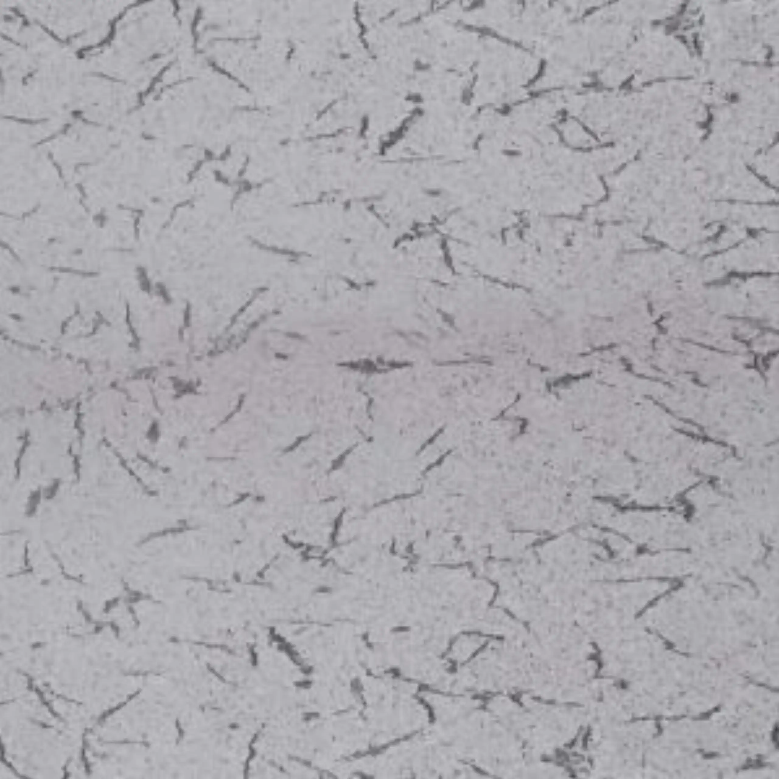 French White Granite