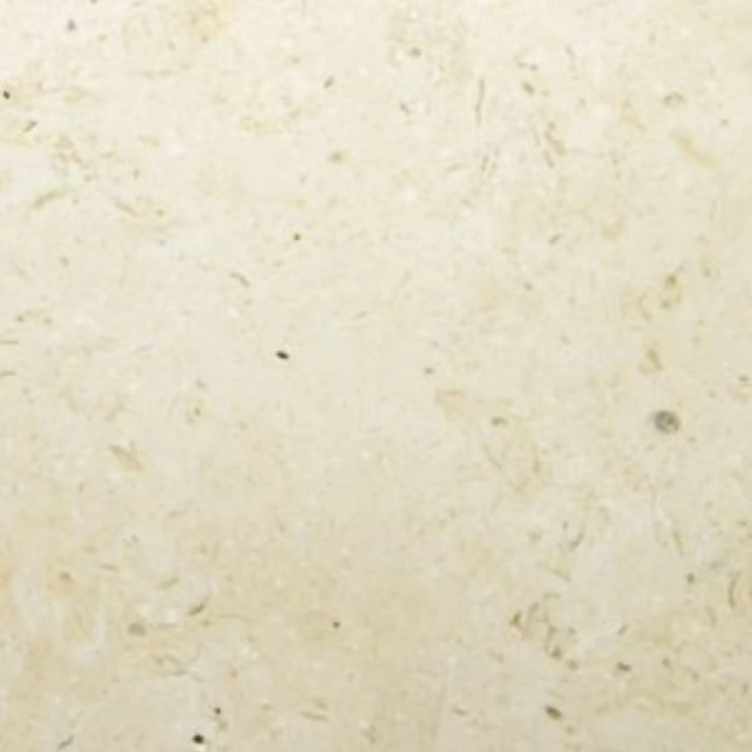 Ivory Cream Marble