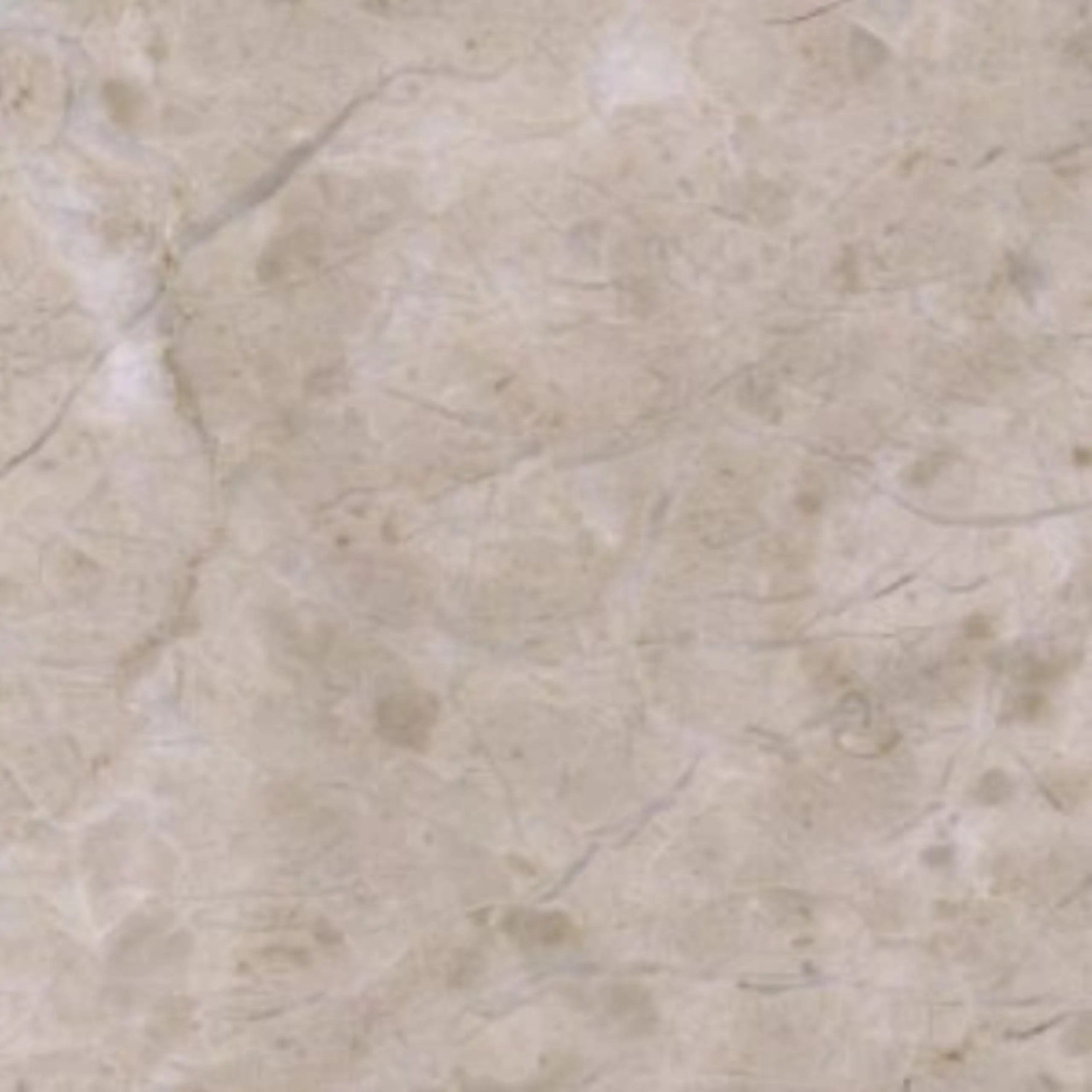 Leo Beige