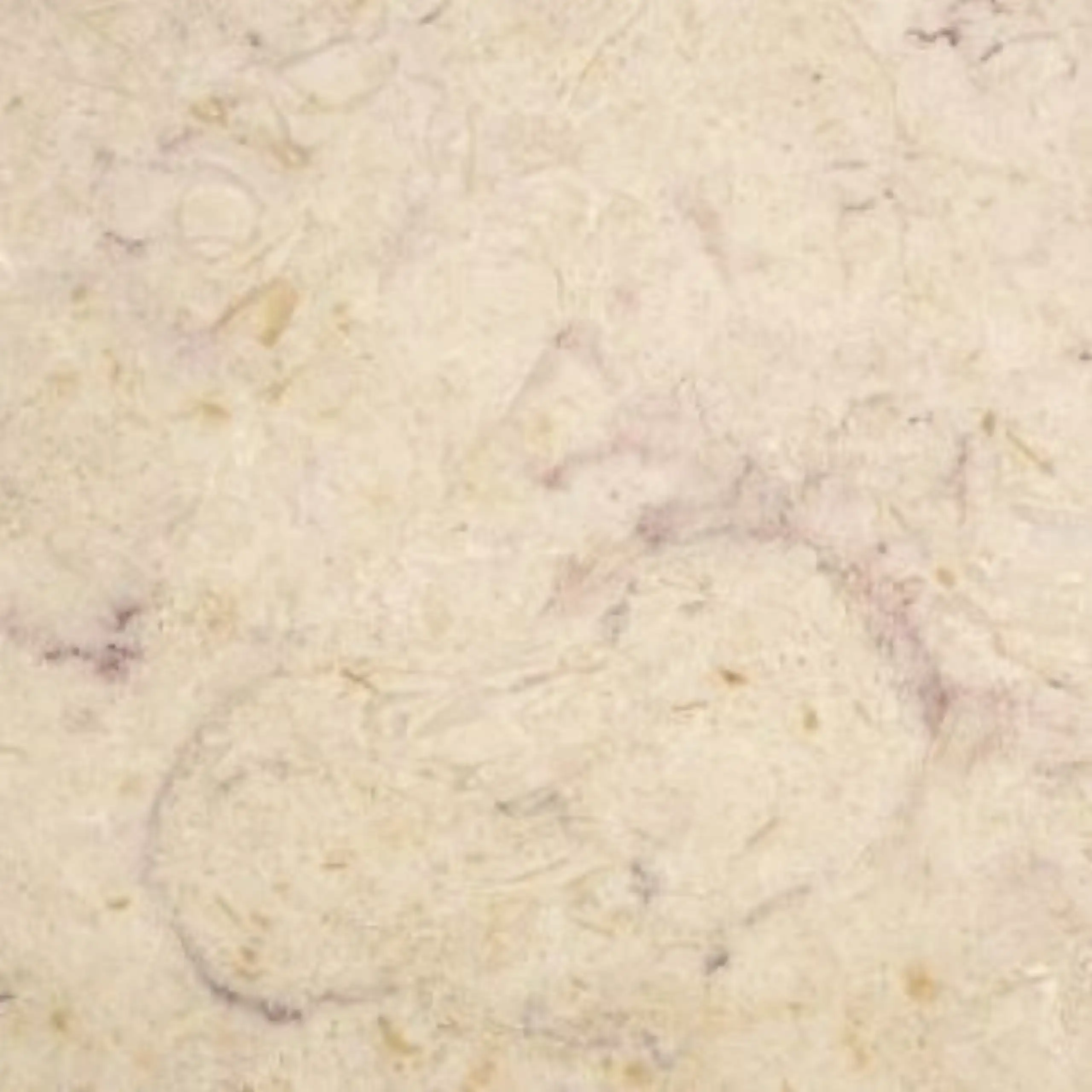 Lioz Creme