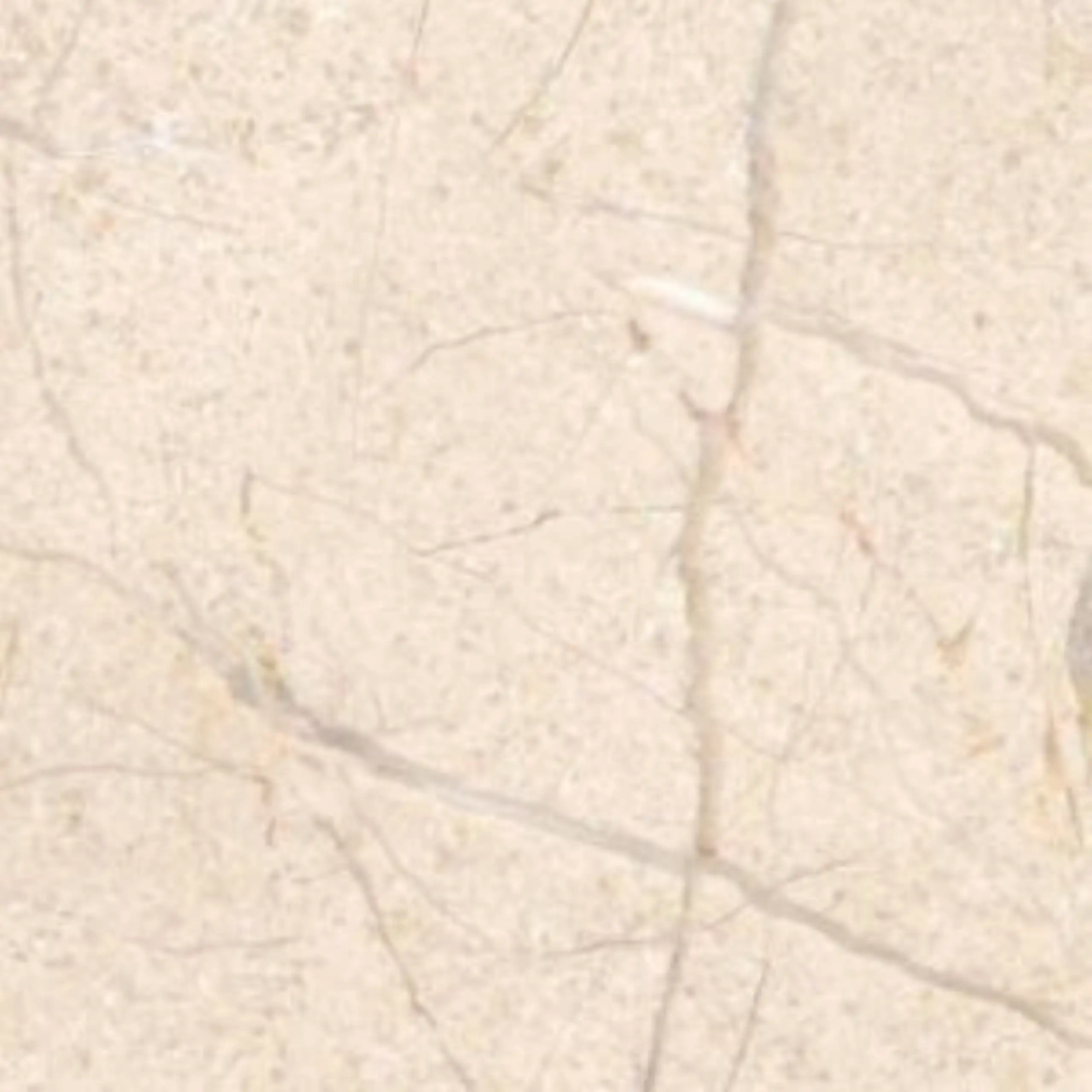 Lotus Cream Marble