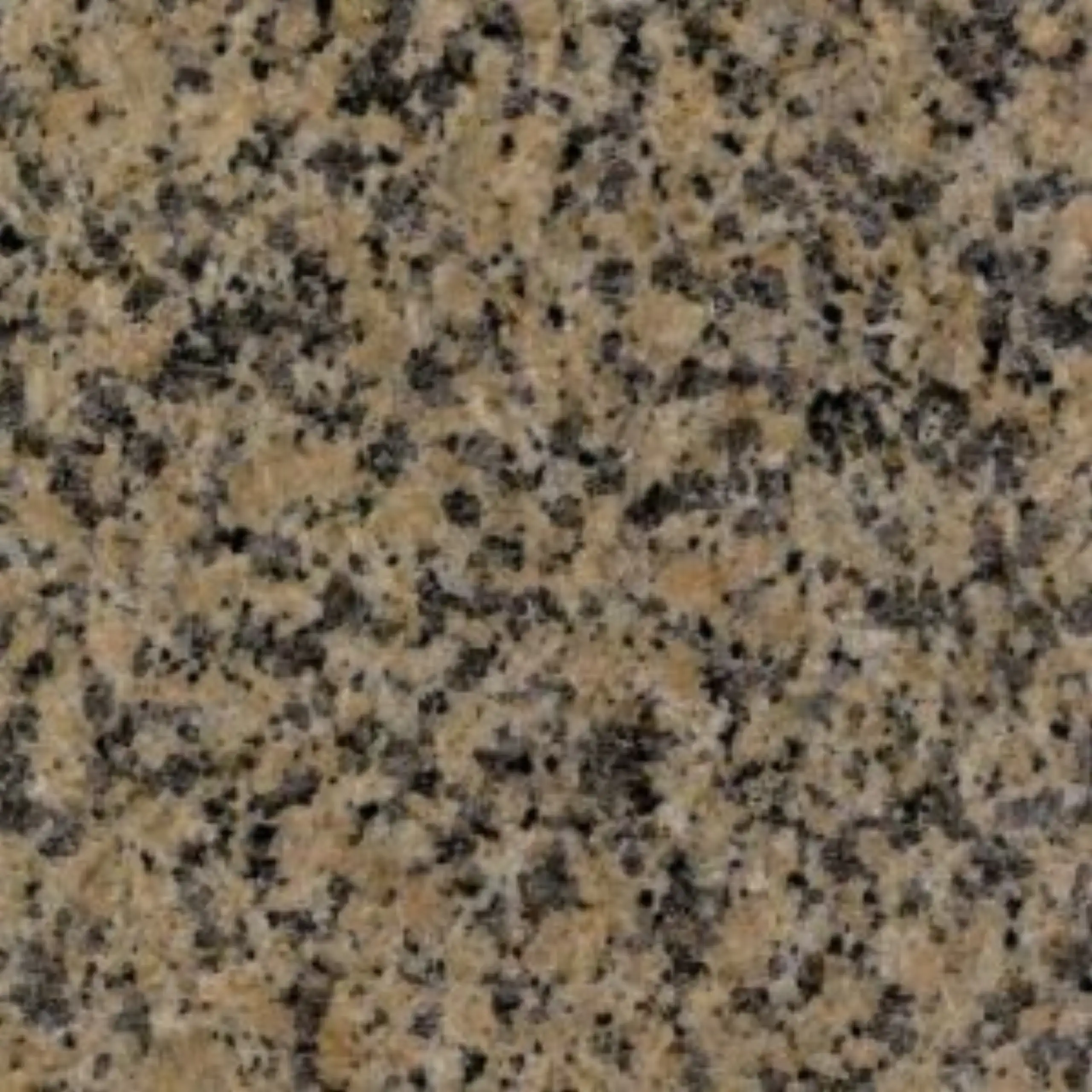 Sandal Gold Granite