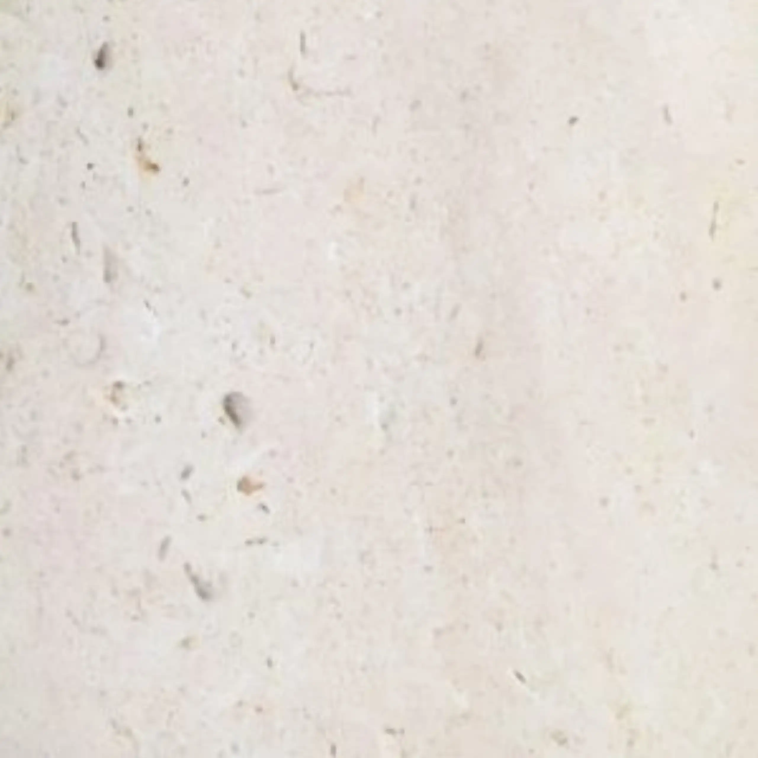 Caliza de Hontoria