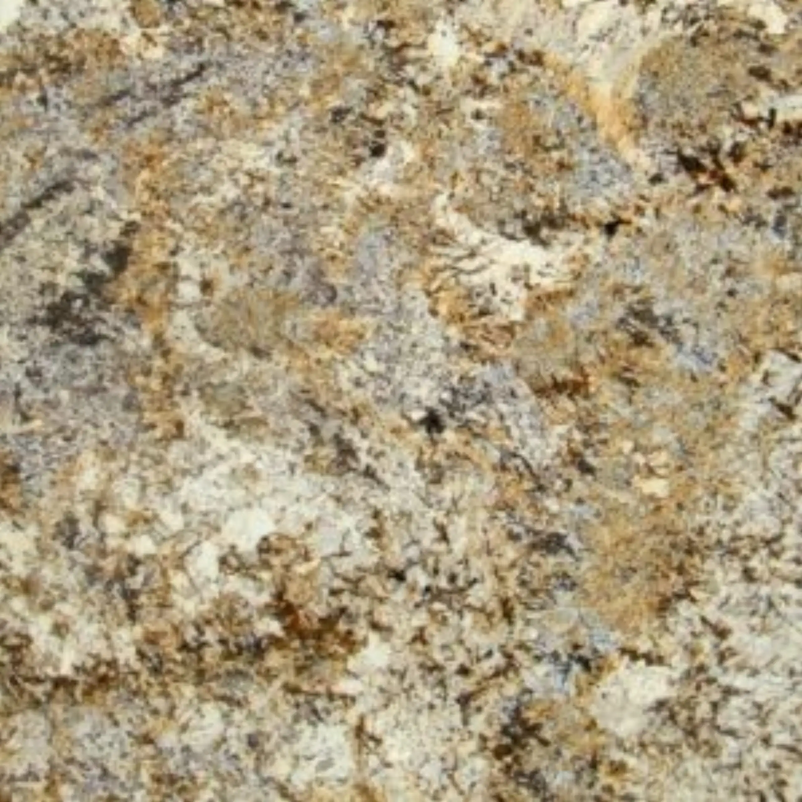 Caravelas Gold Granite