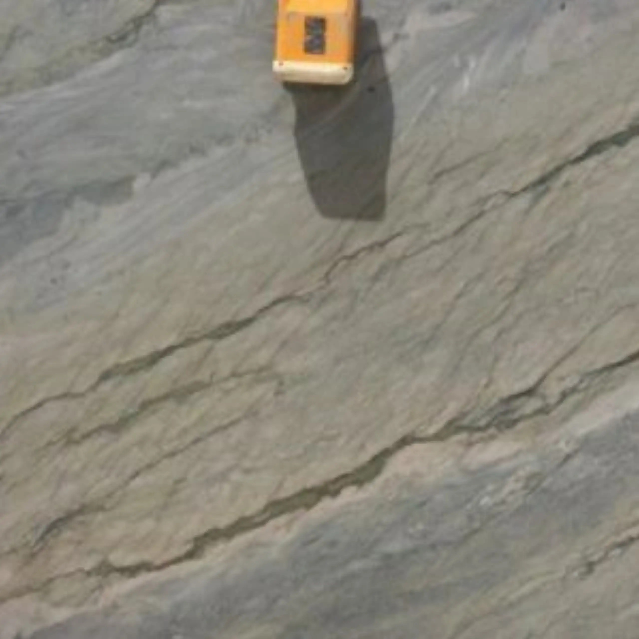 Elegant Grey Quartzite