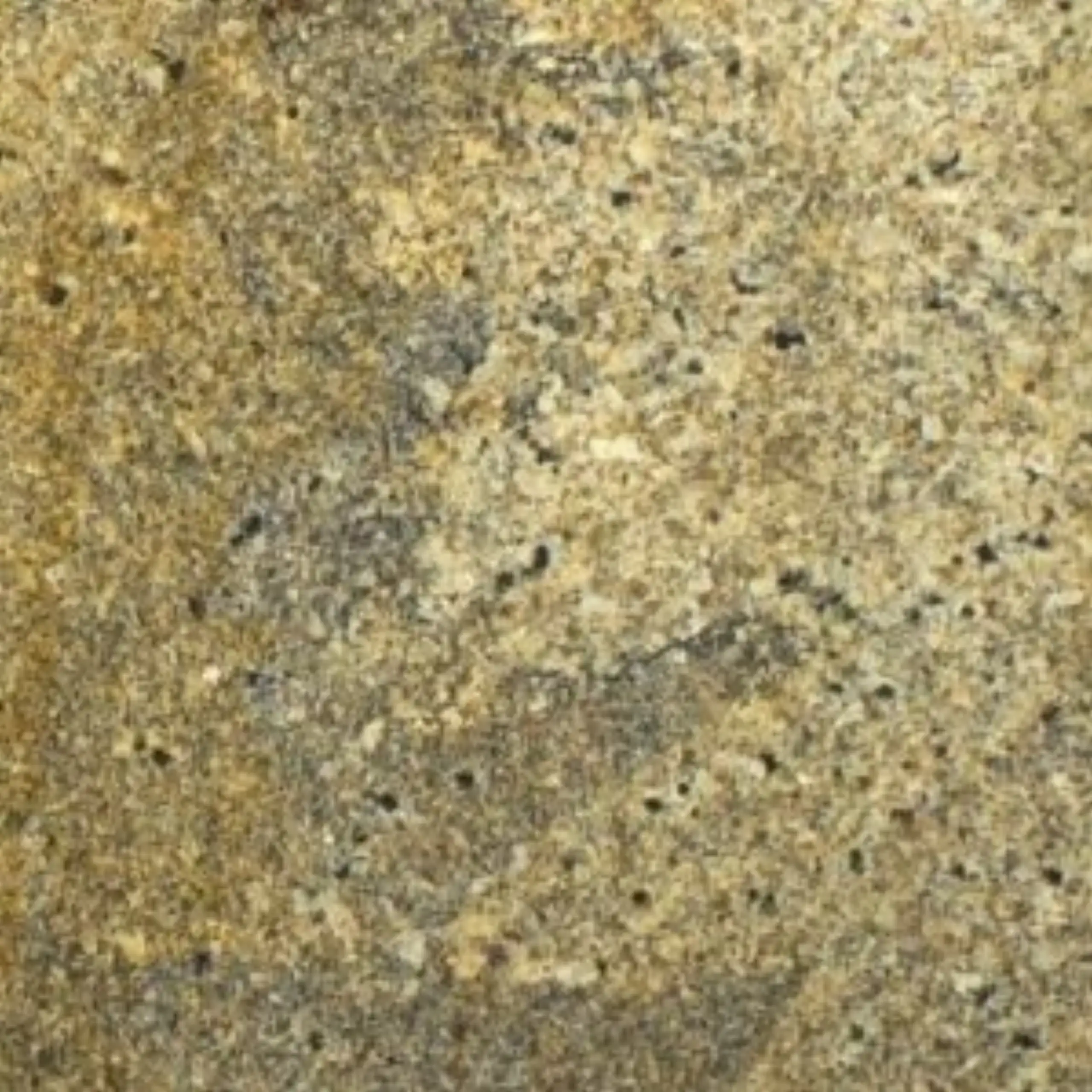 Giallo Muscat Granite