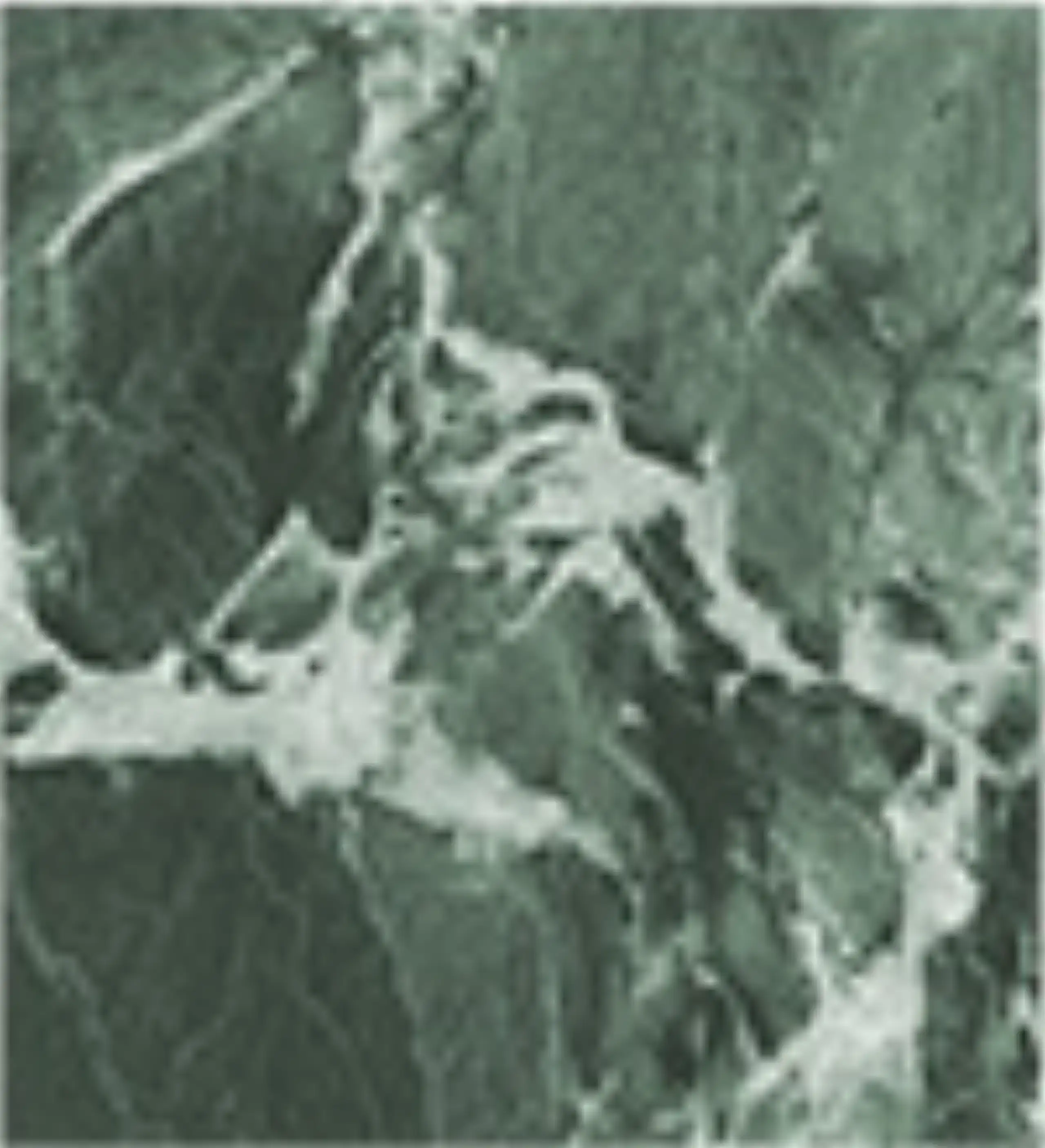 Green Marble 4