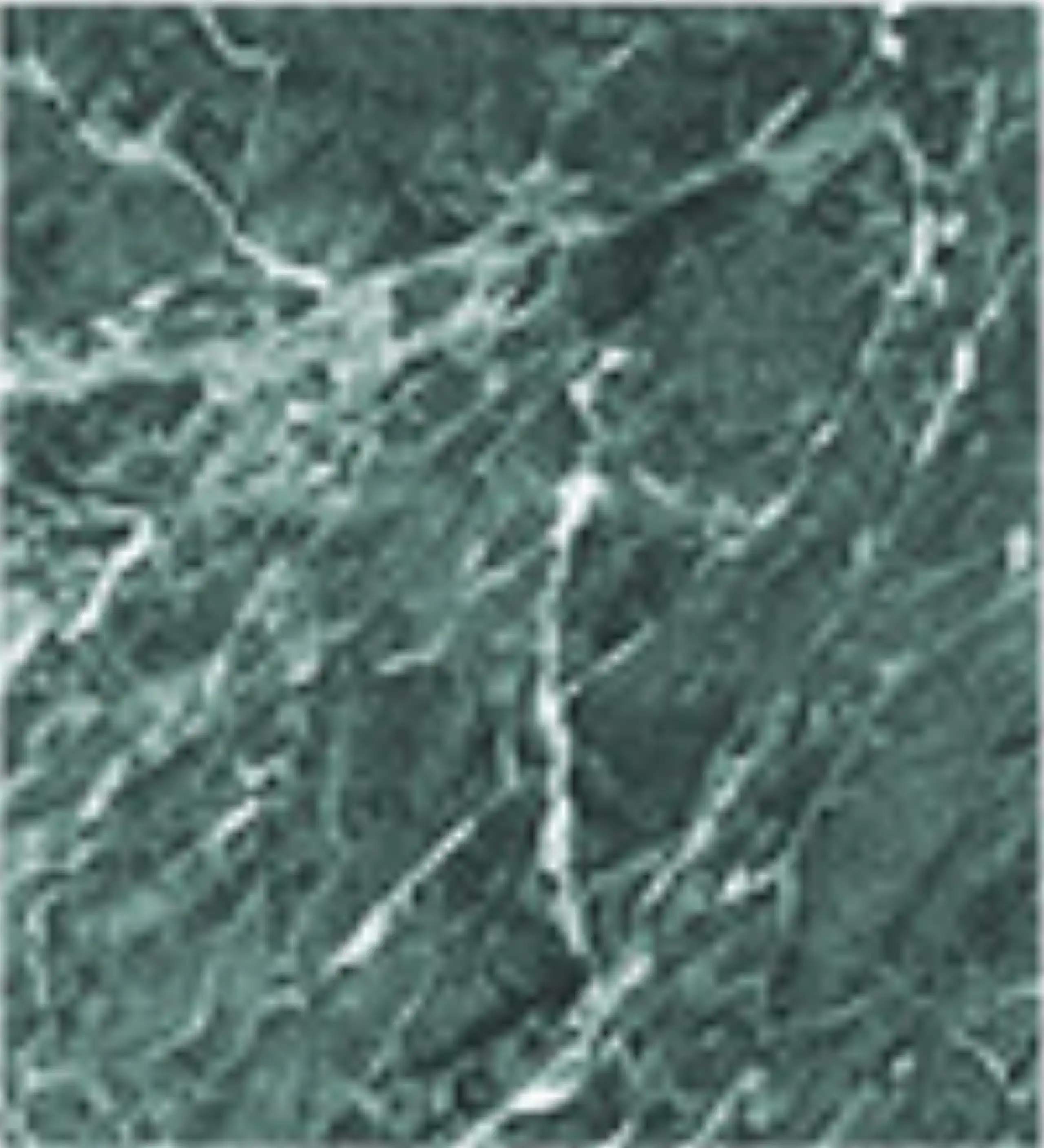 Green Marble 5