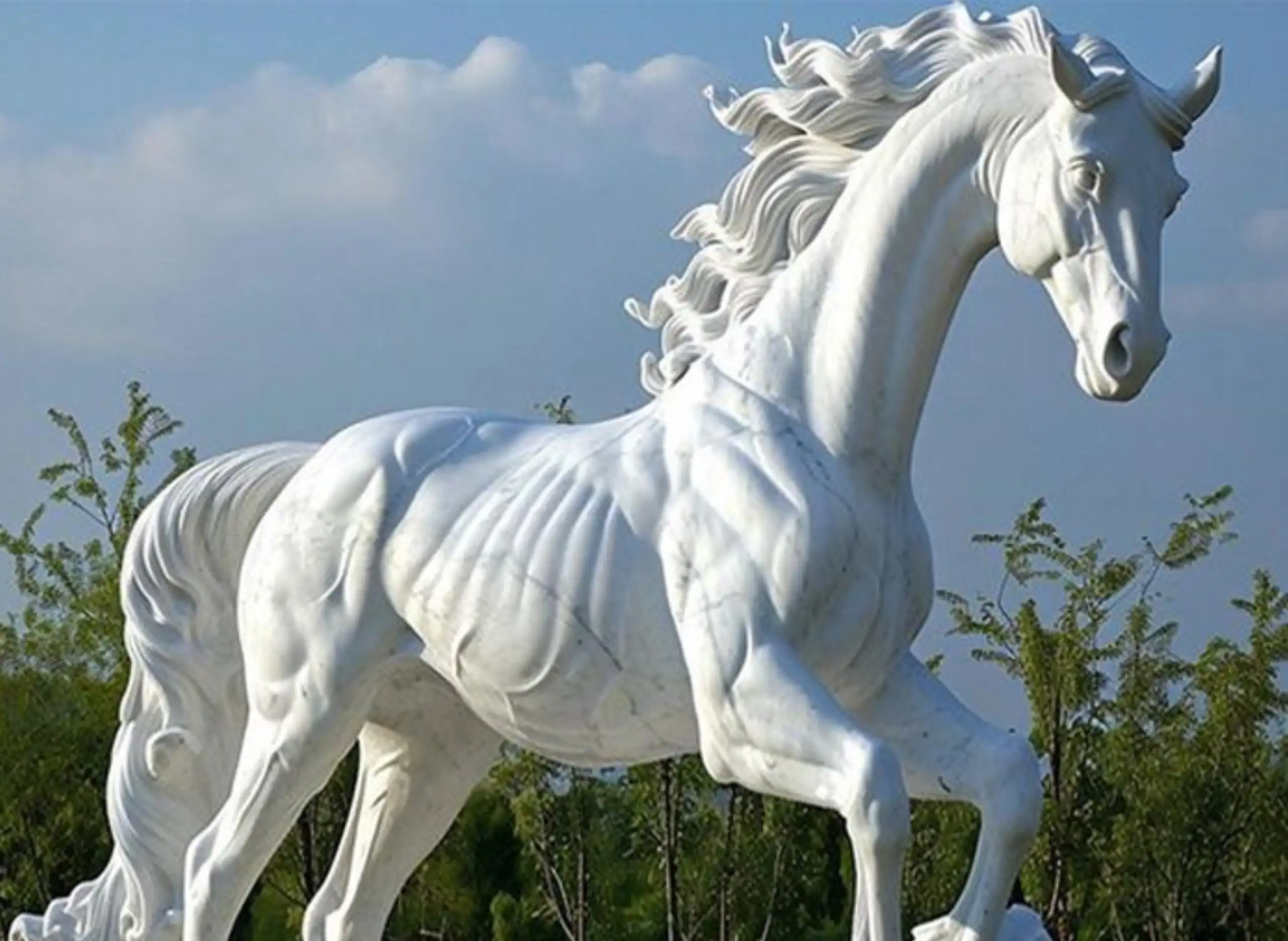 Sitting Horse2