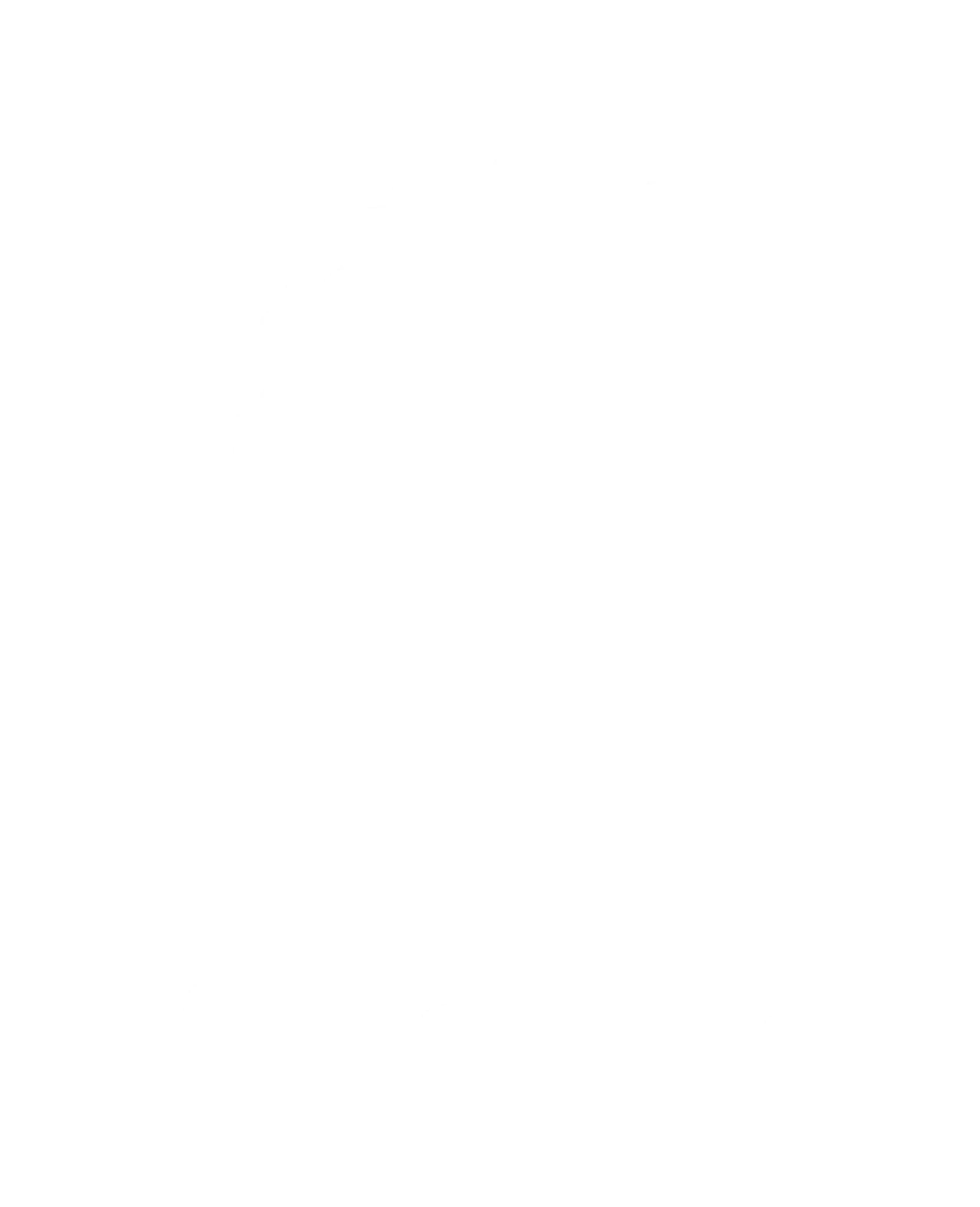 icon 2 1