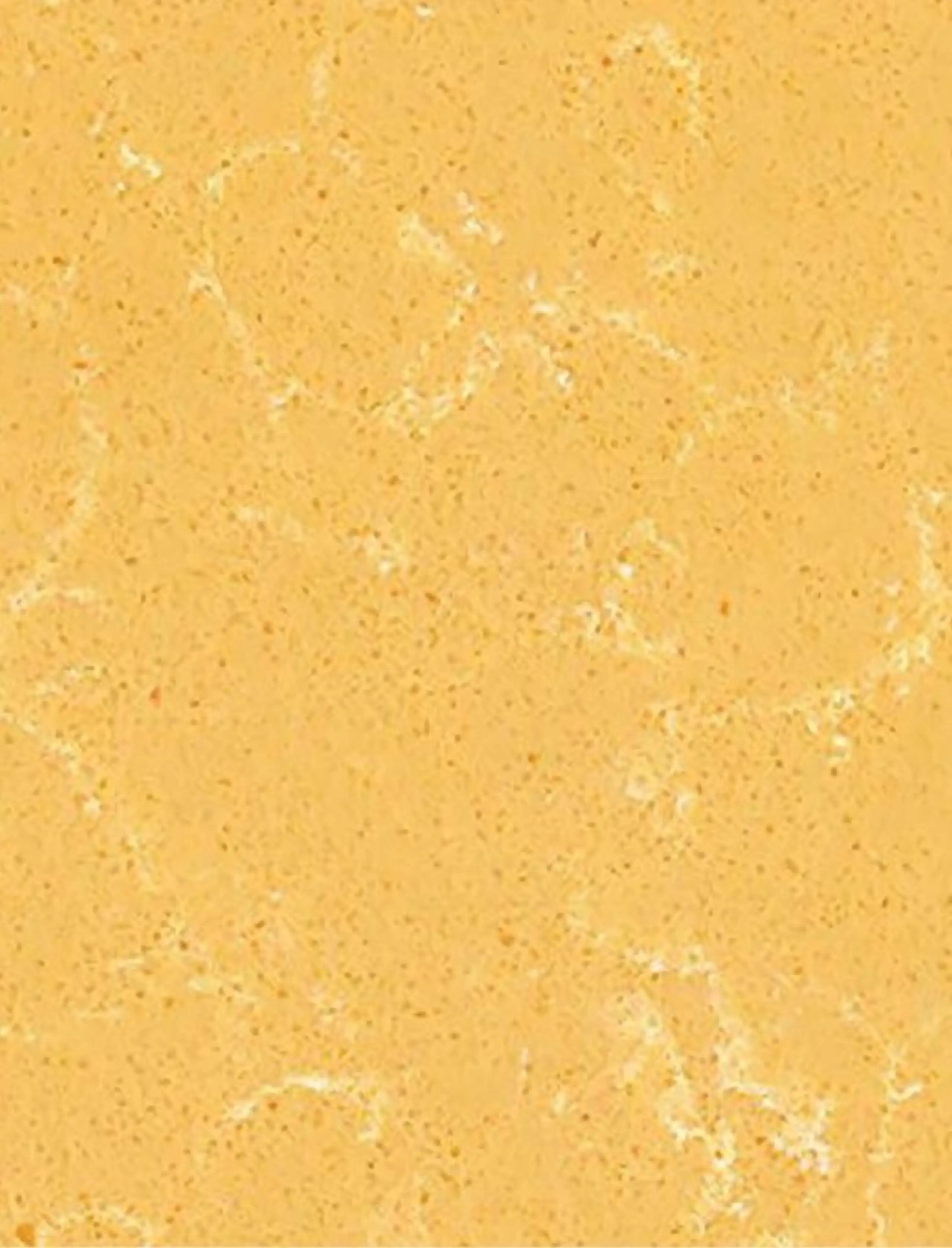 3-Yellow Quartz with White Veining