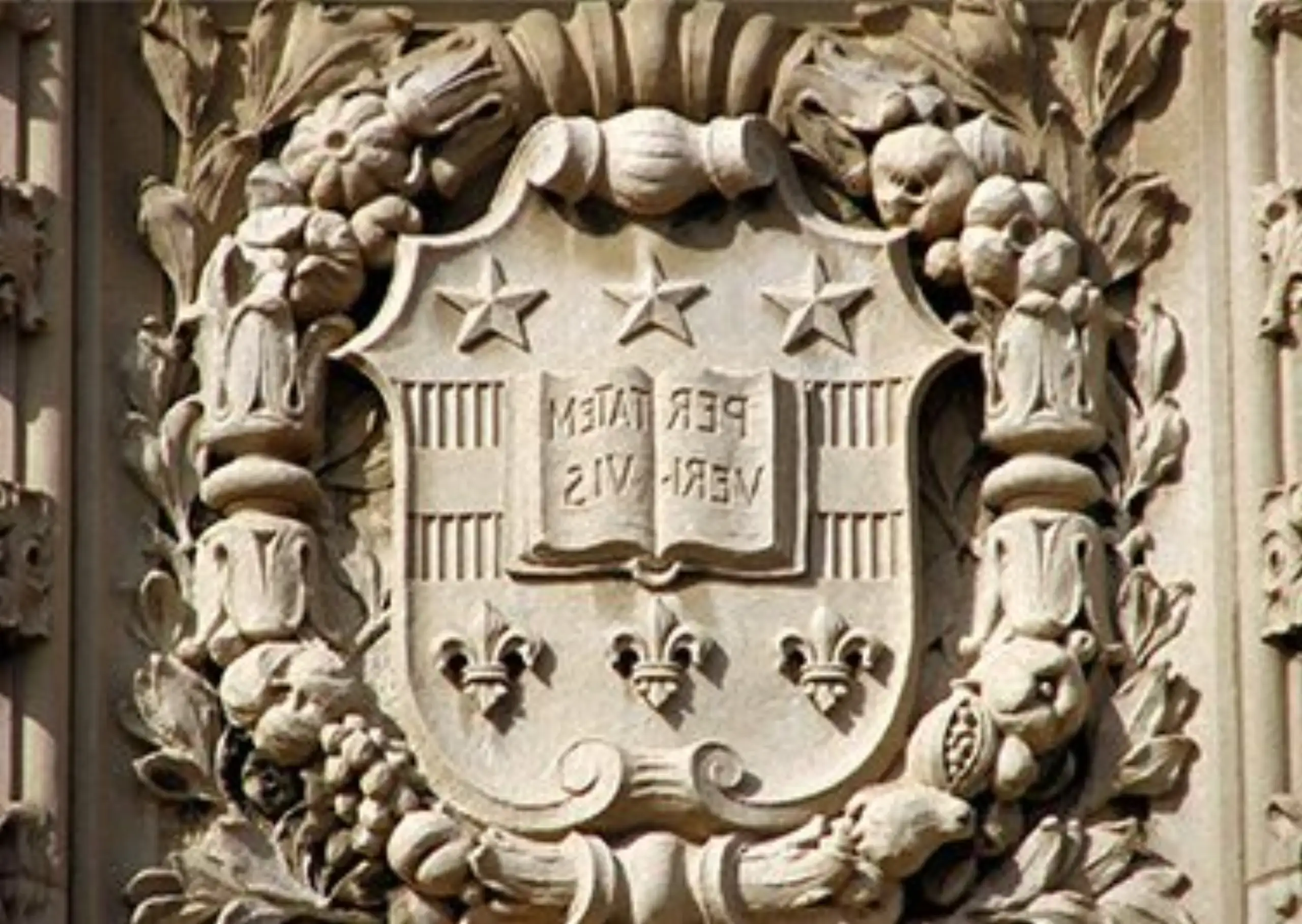 sandstone relief13