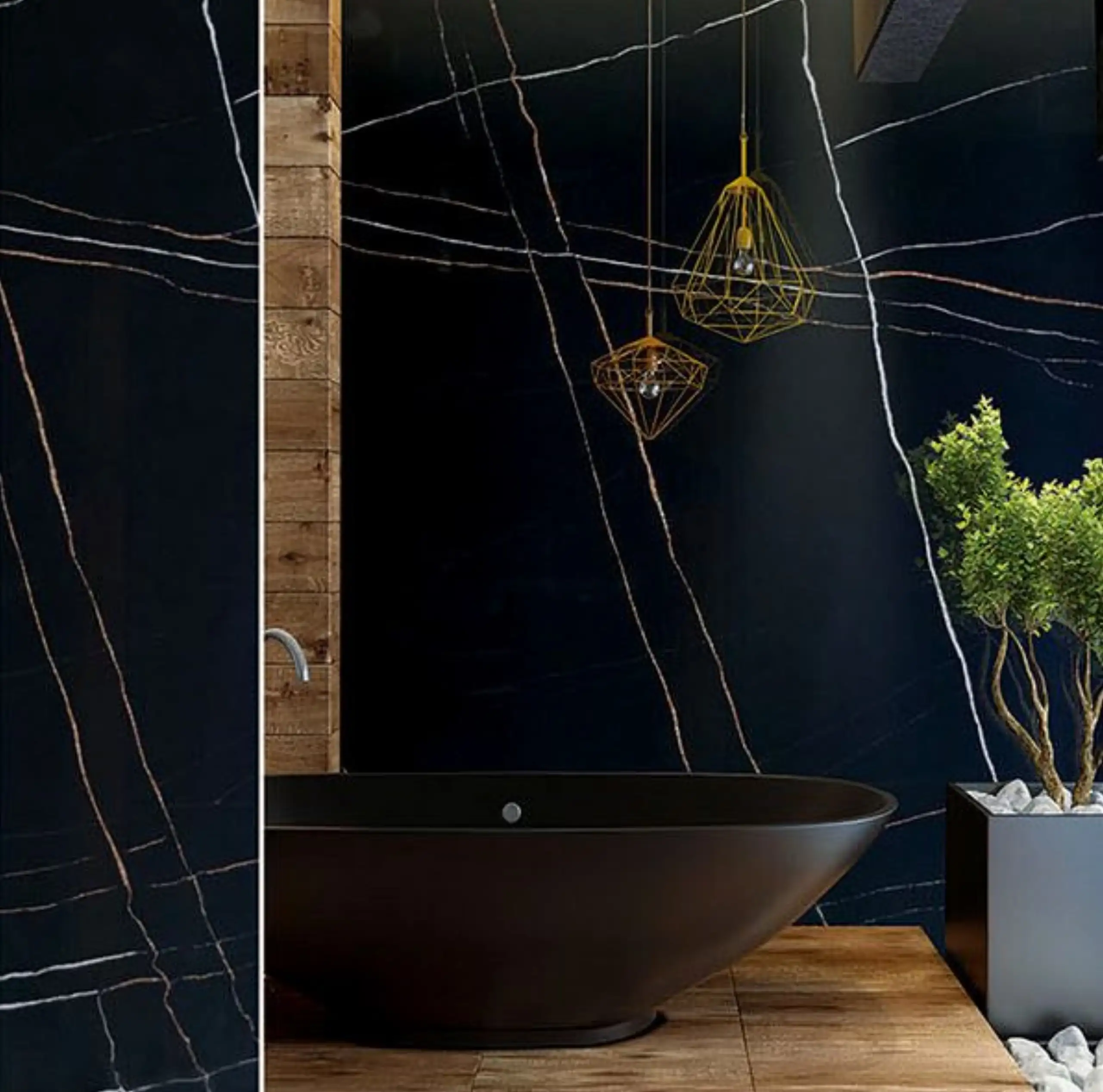 Black Quartz With Gold Veins6