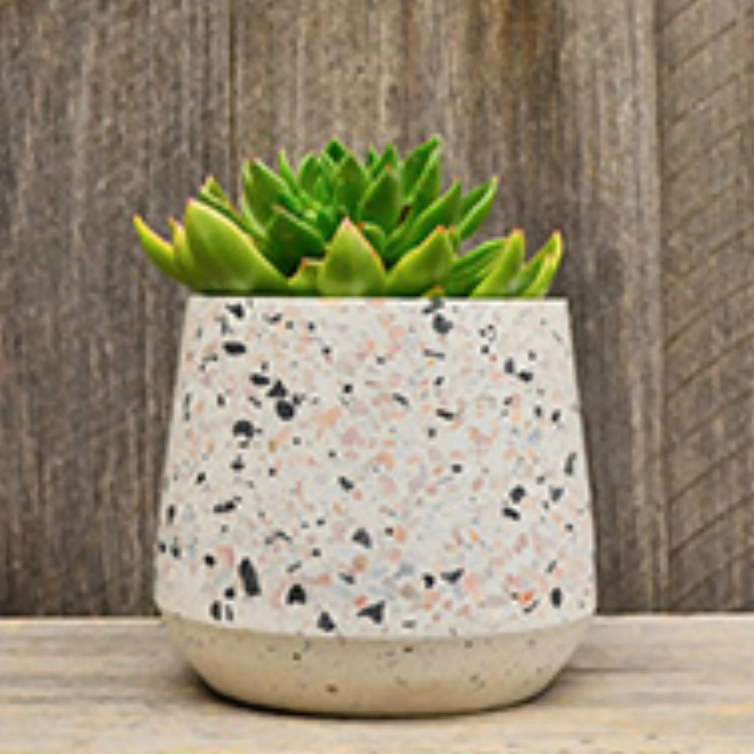 Terrazzo 15