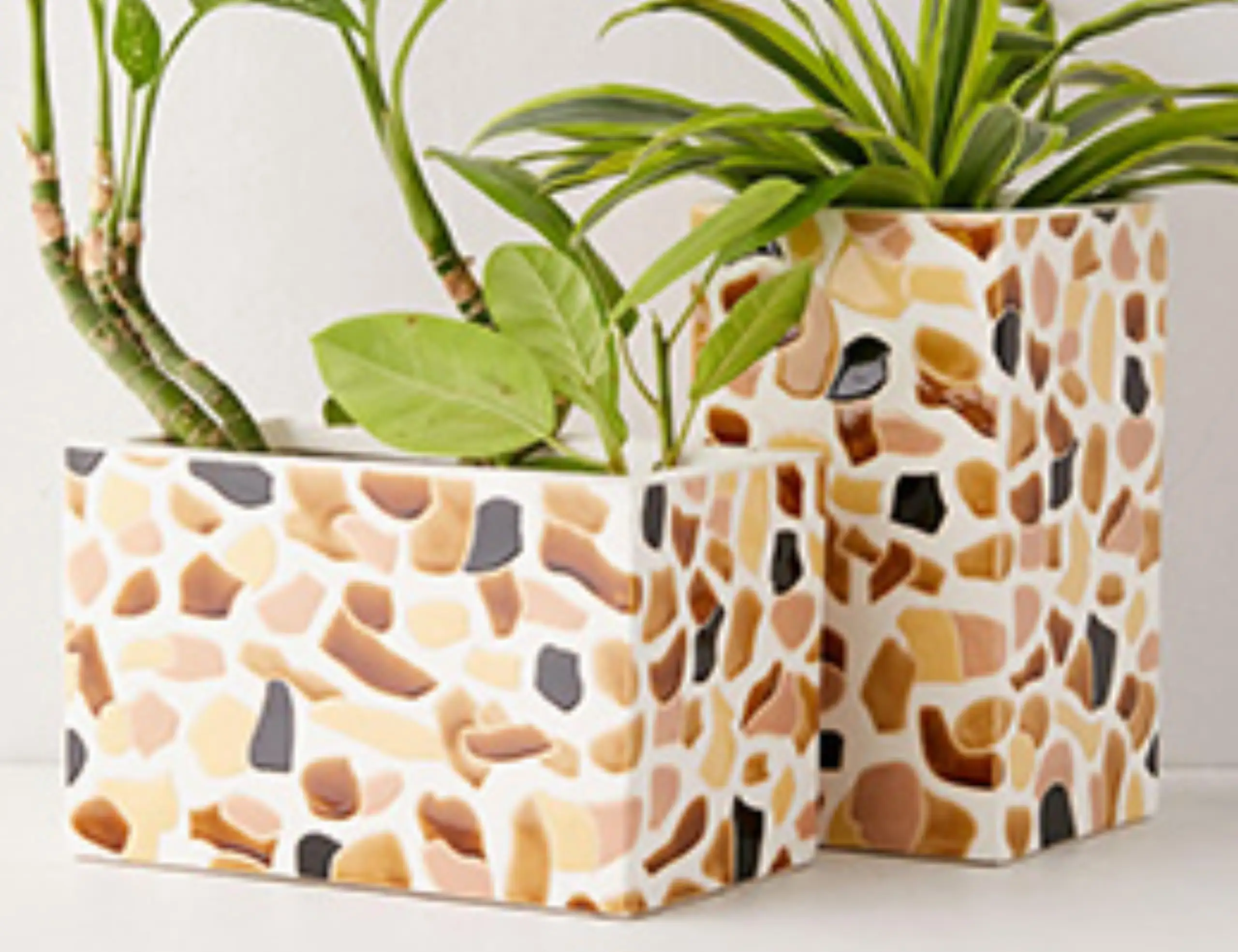 Terrazzo 19