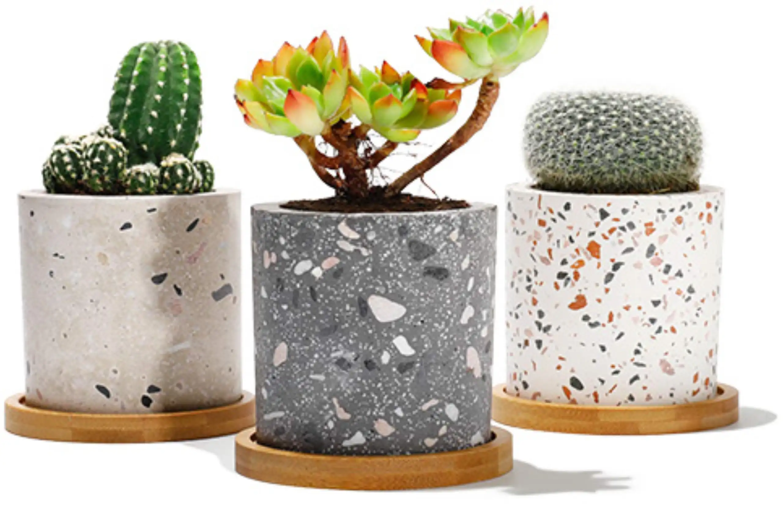 Terrazzo 24