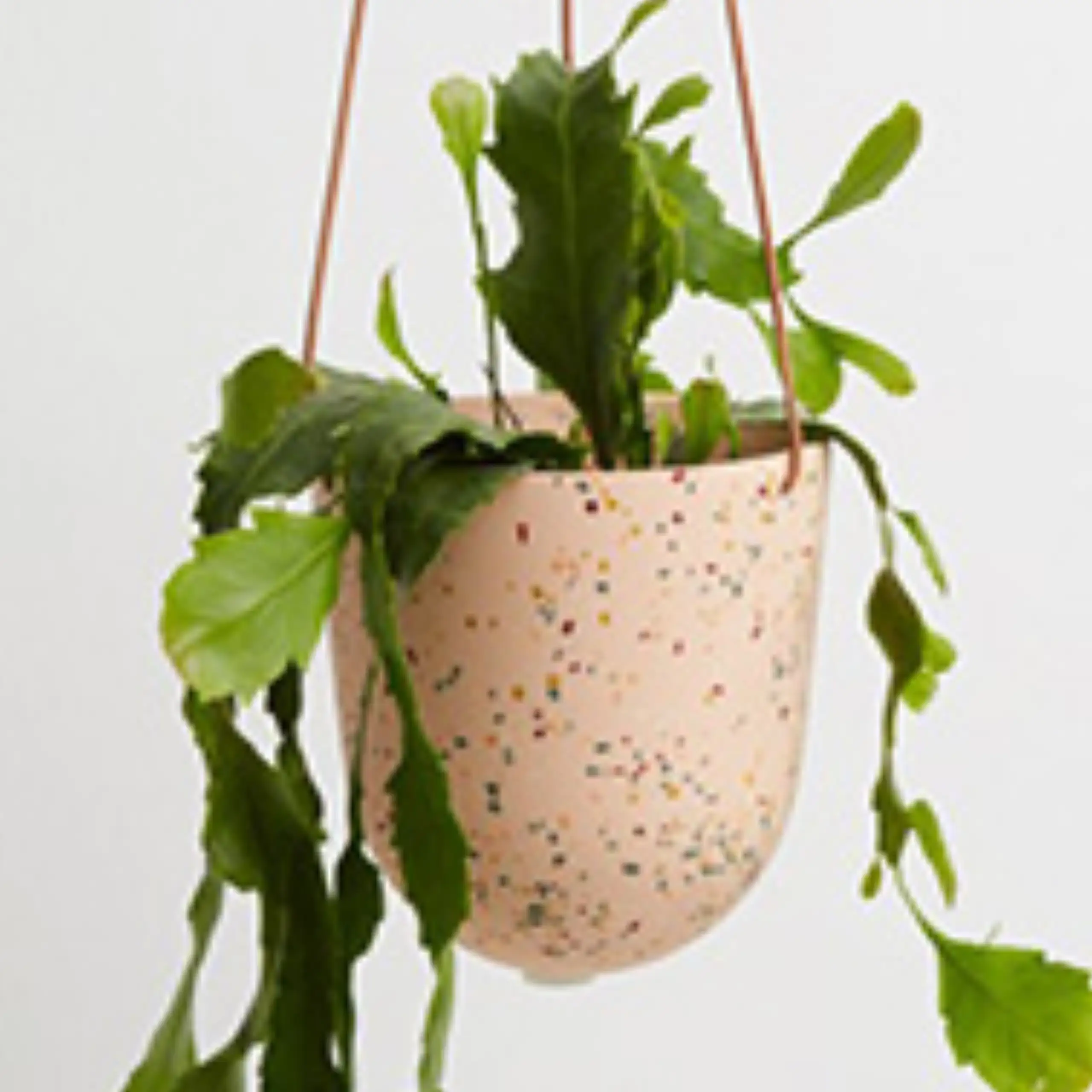 Terrazzo 7