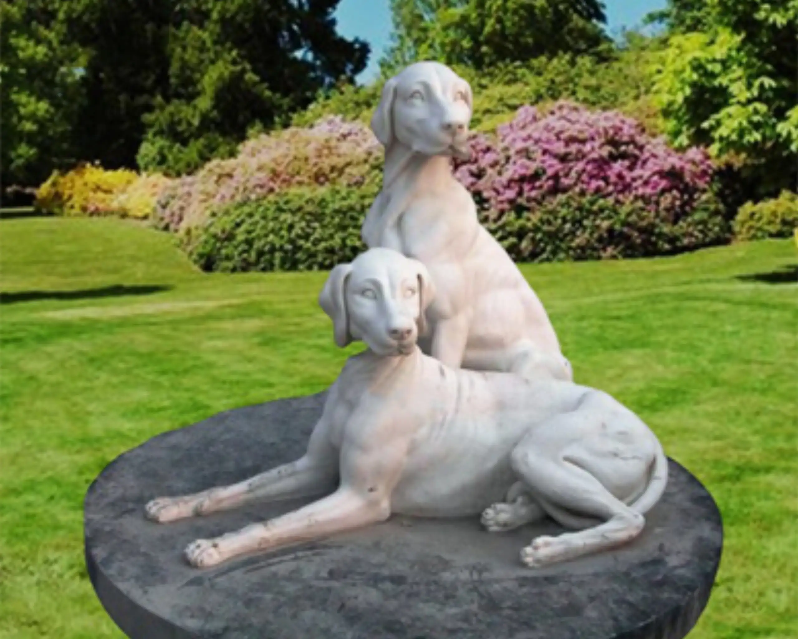 Marble Dog10