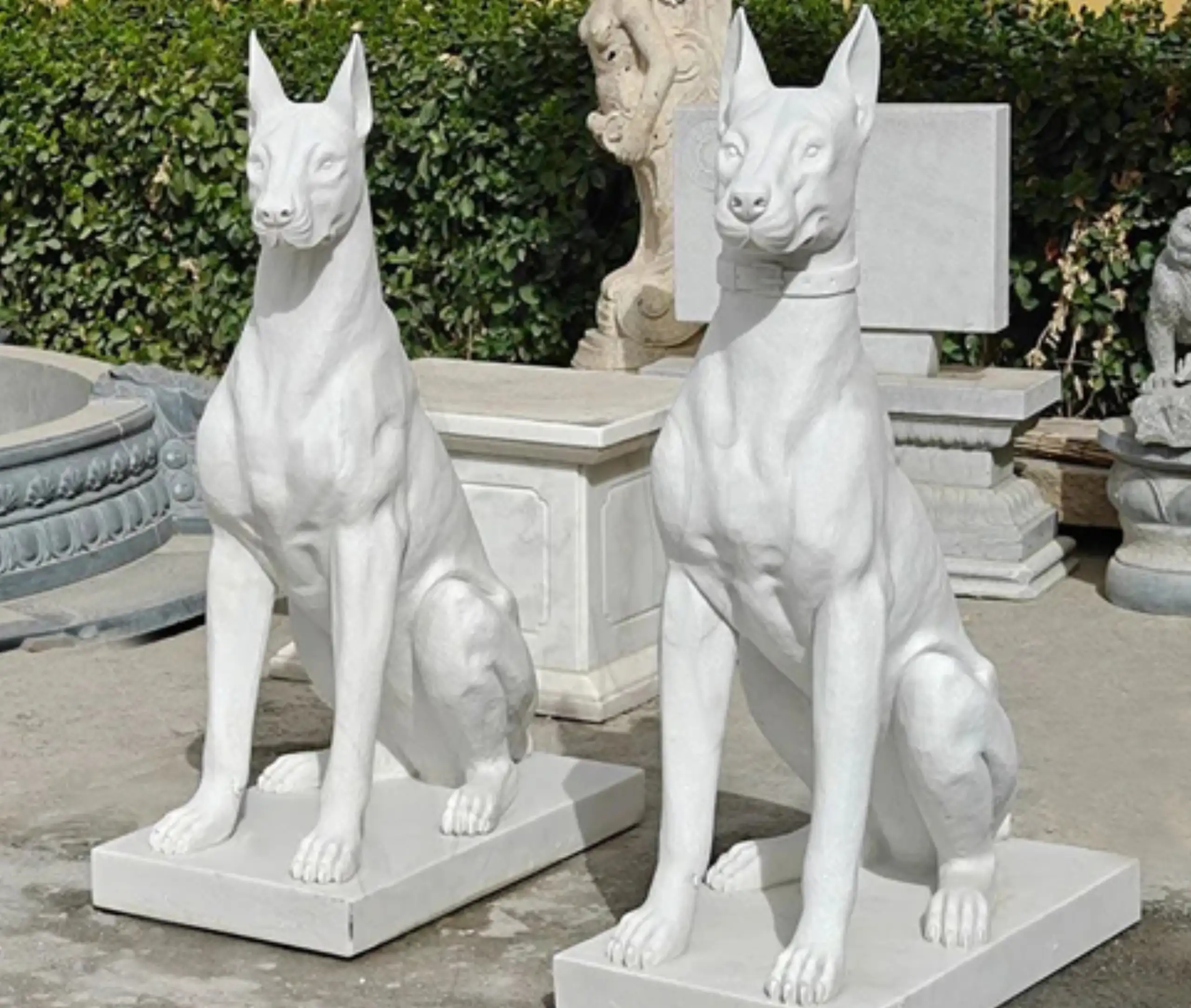Marble Dog11