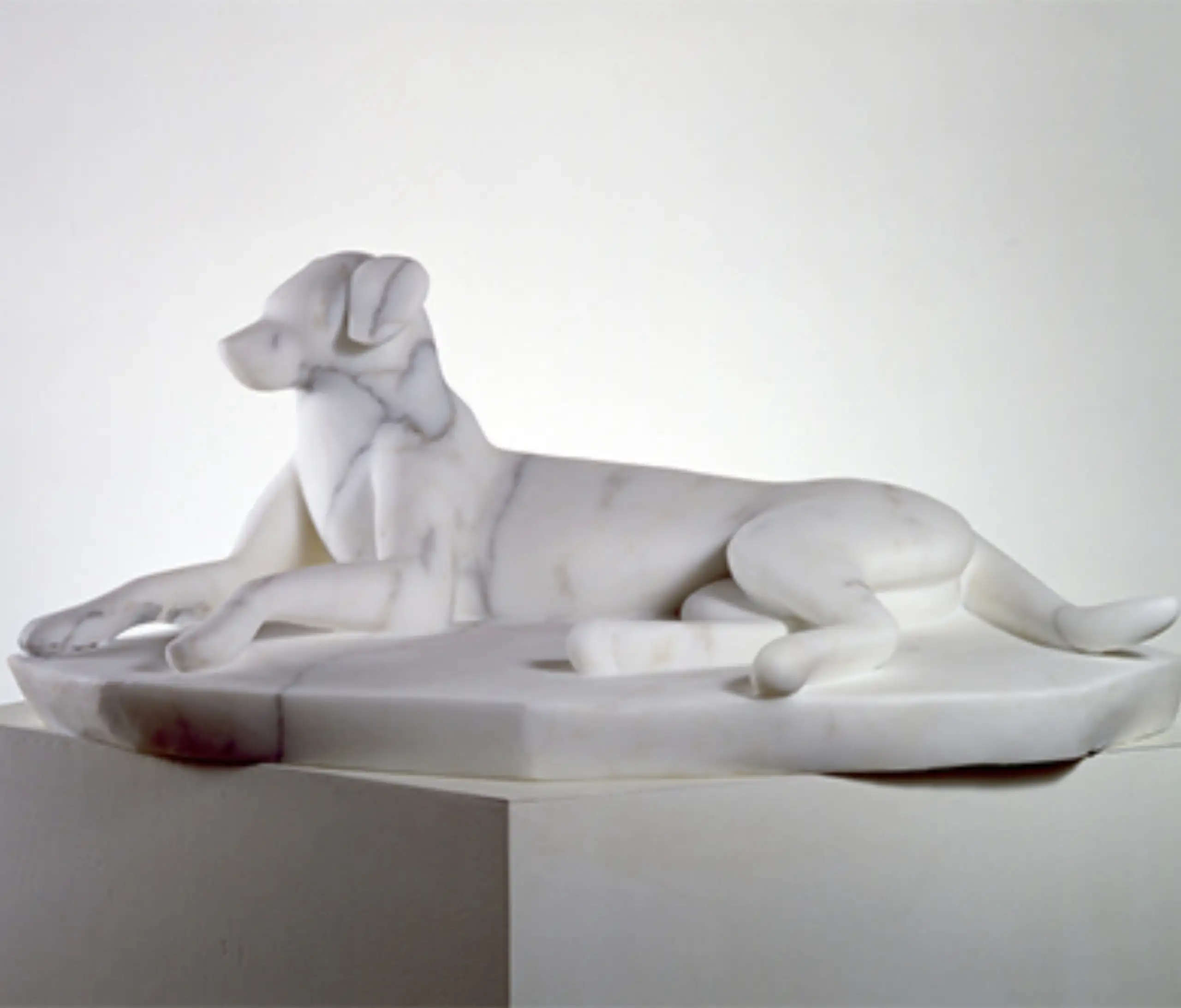 Marble Dog2