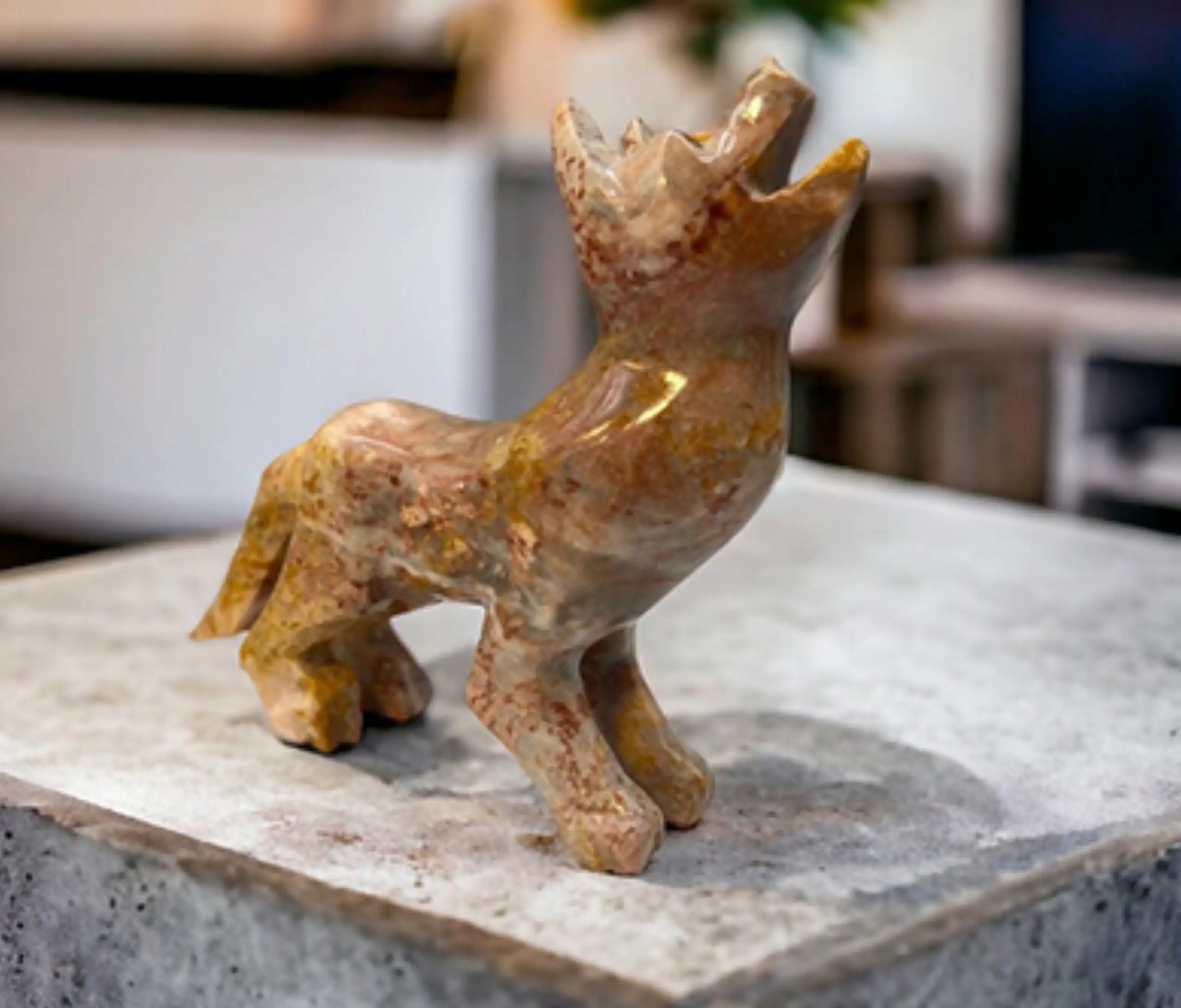 Marble Dog3
